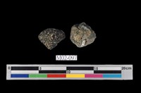 藏品(普通輝石)的圖片